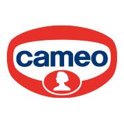Cameo S.p.a., Desenzano del Garda orari di apertura