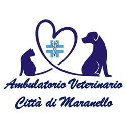 Ambulatorio Veterinario Città di Maranello, orari di apertura