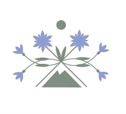 Camping Aiguille Noire, Courmayeur orari di apertura