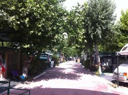 Camping Sole Azzurro, Latina orari di apertura