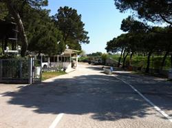 Camping Zadina Di Carla Pezzi & C. (S.n.c.), Cesenatico orari di apertura