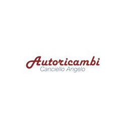Autoricambi Canciello Angelo Sas, Settimo Torinese orari di apertura