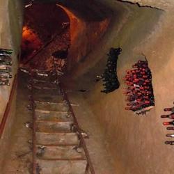 Cantina Foresi Di Antonio Foresi -s.n.c., Orvieto orari di apertura