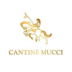 Cantine Mucci, Torino di Sangro orari di apertura