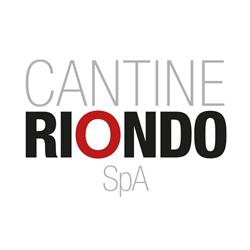 Cantine Riondo Spa, Monteforte d'Alpone orari di apertura