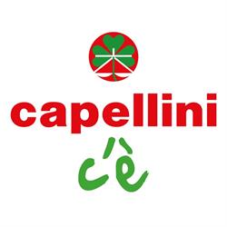 Capellini Design Di Capellini Marco Architetto, Seveso orari di apertura