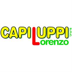 Capiluppi Lorenzo Snc, Borgo Virgilio orari di apertura