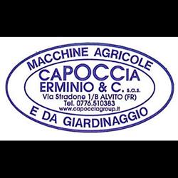Capoccia Erminio E C. S.a.s., Alvito orari di apertura