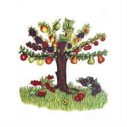 Capovilla Azienda Agricola di Capovilla Vittorio, Rosà orari di apertura