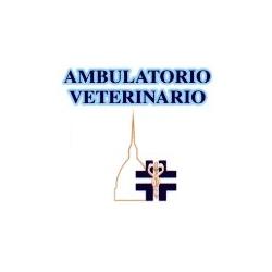 Ambulatorio Veterinario Dr. Capussotti Silvano, Settimo Torinese orari di apertura