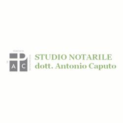 Studio Notarile dott. Antonio Caputo Sorbolo Mezzani, Sorbolo - Orari di apertura