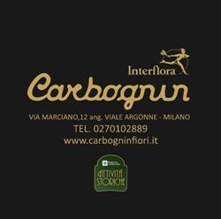 Carbognin Fiori progettazioni Eventi, Milano orari di apertura