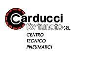 Carducci Fortunato SRL, Massa orari di apertura