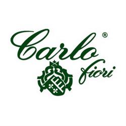 Carlo Fiori Di Pirollo Stefano e Andrea (S.a.s.), Torino orari di apertura