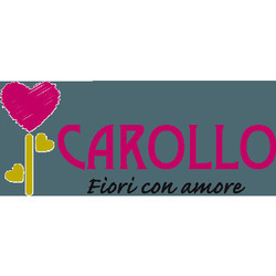 Carollo Fiori, Centrale orari di apertura