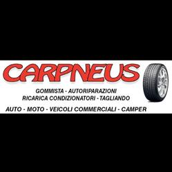 Carpneus S.a.s Di Ortolani Della Nave Dario e C., Senago orari di apertura