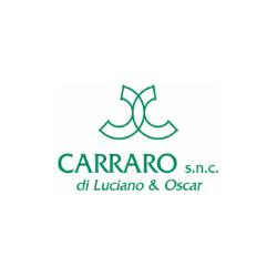 Carraro Onoranze Funebri, Vigonza orari di apertura