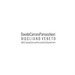 Carraro Davide, Mogliano Veneto orari di apertura