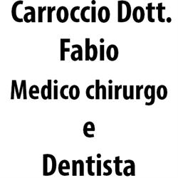 Carroccio Dott. Fabio, Torino orari di apertura