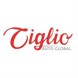 Carrozzeria Tiglio S.r.l., Calcinaia orari di apertura