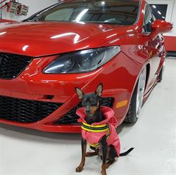 Autocarrozzeria Passione Auto, Pieve di Cento orari di apertura