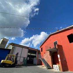 Cartiera Santa Lucia Di Monti Amaddio, Uzzano orari di apertura
