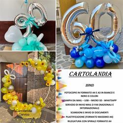 Cartolandia, Carvico orari di apertura