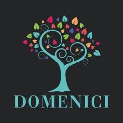 Cartoleria Benedetti Di Domenici C. E D., Camaiore orari di apertura