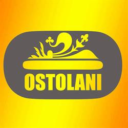 Ostolani - Cartoleria Print & Copia, Firenze orari di apertura