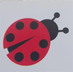 Cartolibreria Coccinella SAS Di Marina Lepore & C., Gemona del Friuli orari di apertura