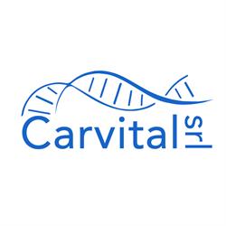 Carvital (Srl), Roma orari di apertura