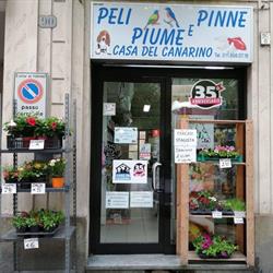 Casa Del Canarino, Torino orari di apertura