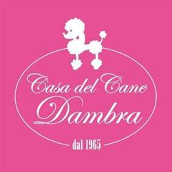 Casa del Cane Dambra, Bologna orari di apertura
