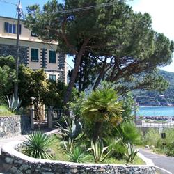 Casa Per Ferie Villa Rossana, Levanto orari di apertura