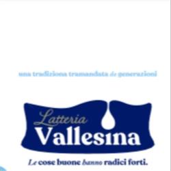 Latteria la vallesina srls, Vallo della Lucania orari di apertura