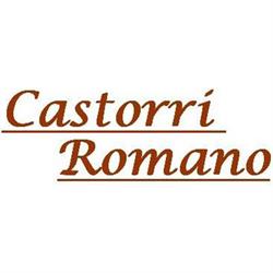 Lubrificanti Castorri Romano, Bertinoro orari di apertura