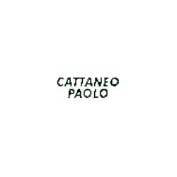 Cattaneo Paolo - Ford, Terno d'Isola orari di apertura