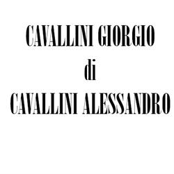 Cavallini Giorgio di Cavallini Alessandro, Omegna orari di apertura