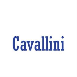 Autofficina Cavallini Enzo, Gaibanella orari di apertura