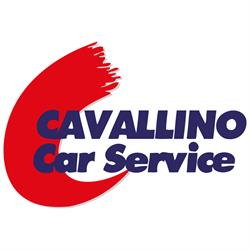 Cavallino Car Service SRL, Pomezia orari di apertura