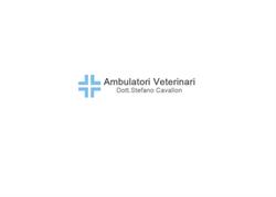 Ambulatorio Veterinario Cavallon Dr. Stefano, Cologna Veneta orari di apertura