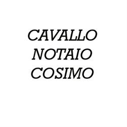Notaio Cosimo Cavallo, San Daniele del Friuli orari di apertura