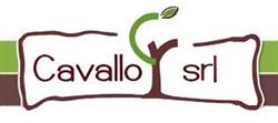 Cavallo, Ragusa orari di apertura