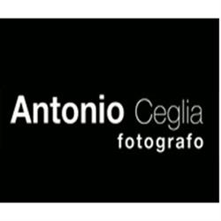 Antonio Ceglia Fotografo, Sant'Egidio del Monte Albino orari di apertura