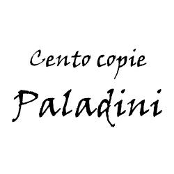 Centro Copie Paladini, Senigallia orari di apertura