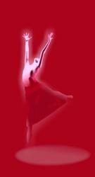 Centro Danza E Movimento, Firenze orari di apertura