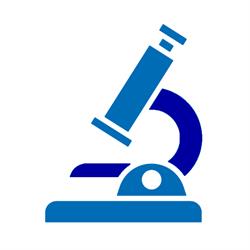 Centro Diagnostico Analisi Dei Dott.l.cerciello & G.basile Giannini Snc), Marano di Napoli orari di apertura