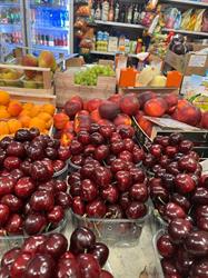 Centro Frutta San Vitale S.a.s, Bologna orari di apertura