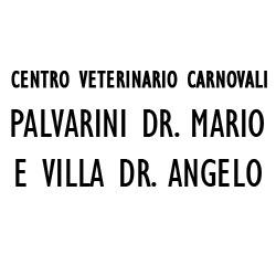 Centro Veterinario Carnovali, Bergamo orari di apertura