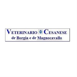 Centro Veterinario Cesanese, Cesano Maderno orari di apertura